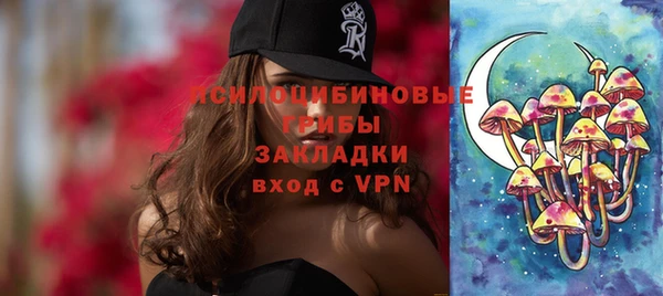 ПСИЛОЦИБИНОВЫЕ ГРИБЫ Армянск
