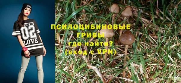 ALPHA PVP Арсеньев