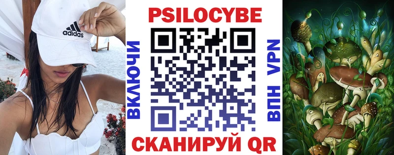 Галлюциногенные грибы MAGIC MUSHROOMS Туринск